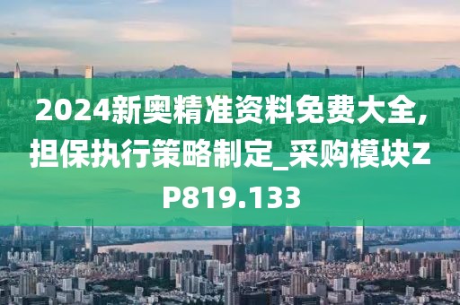 2024新奥精准资料免费大全,担保执行策略制定_采购模块ZP819.133