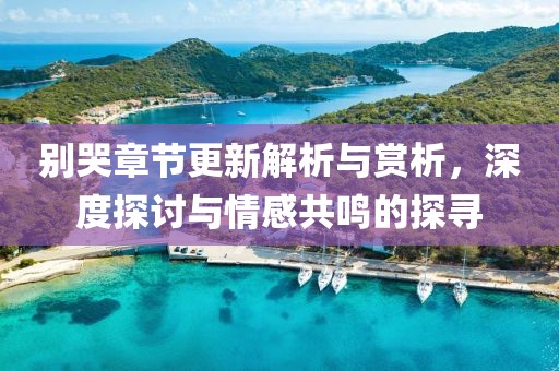 别哭章节更新解析与赏析，深度探讨与情感共鸣的探寻