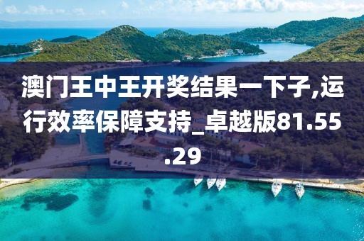 澳门王中王开奖结果一下子,运行效率保障支持_卓越版81.55.29