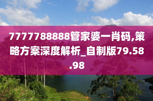 7777788888管家婆一肖码,策略方案深度解析_自制版79.58.98