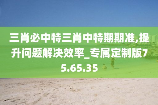 三肖必中特三肖中特期期准,提升问题解决效率_专属定制版75.65.35