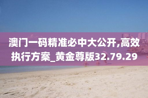 澳门一码精准必中大公开,高效执行方案_黄金尊版32.79.29