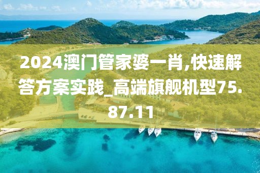 2024澳门管家婆一肖,快速解答方案实践_高端旗舰机型75.87.11