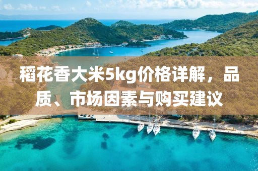 稻花香大米5kg价格详解，品质、市场因素与购买建议