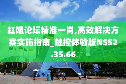 红姐论坛精准一肖,高效解决方案实施指南_触控体验版NS52.35.66