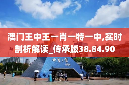 澳门王中王一肖一特一中,实时剖析解读_传承版38.84.90