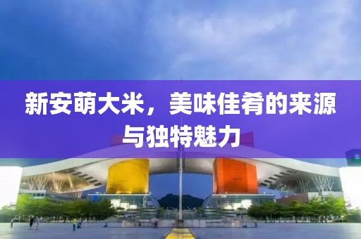 新安萌大米，美味佳肴的来源与独特魅力