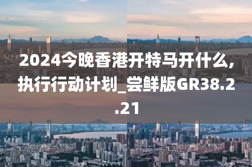2024今晚香港开特马开什么,执行行动计划_尝鲜版GR38.2.21