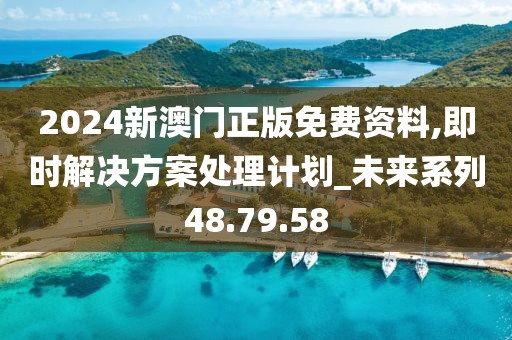2024新澳门正版免费资料,即时解决方案处理计划_未来系列48.79.58