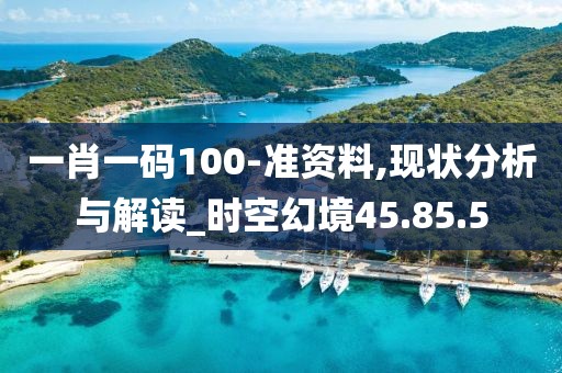 一肖一码100-准资料,现状分析与解读_时空幻境45.85.5