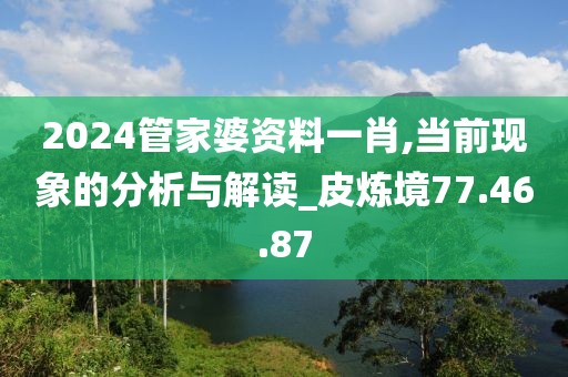 2024管家婆资料一肖,当前现象的分析与解读_皮炼境77.46.87