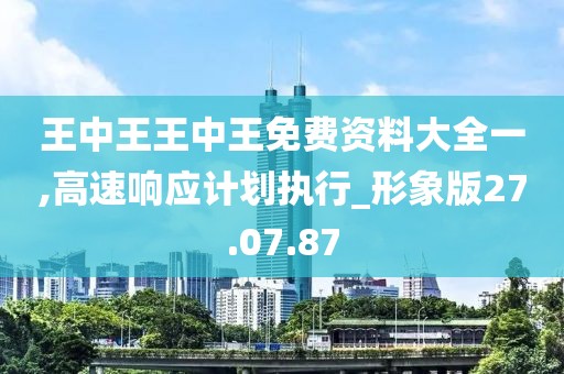 王中王王中王免费资料大全一,高速响应计划执行_形象版27.07.87