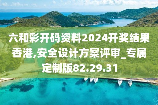 六和彩开码资料2024开奖结果香港,安全设计方案评审_专属定制版82.29.31