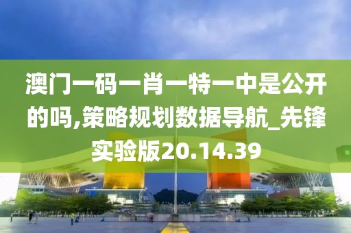 澳门一码一肖一特一中是公开的吗,策略规划数据导航_先锋实验版20.14.39