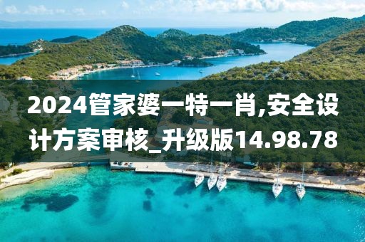 2024管家婆一特一肖,安全设计方案审核_升级版14.98.78