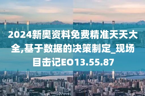2024新奥资料免费精准天天大全,基于数据的决策制定_现场目击记EO13.55.87