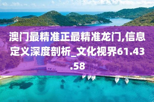 澳门最精准正最精准龙门,信息定义深度剖析_文化视界61.43.58