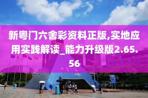 新粤门六舍彩资料正版,实地应用实践解读_能力升级版2.65.56