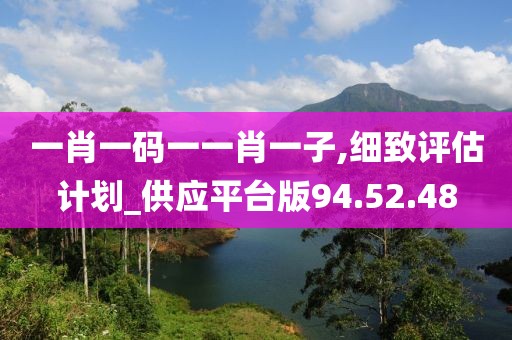 一肖一码一一肖一子,细致评估计划_供应平台版94.52.48