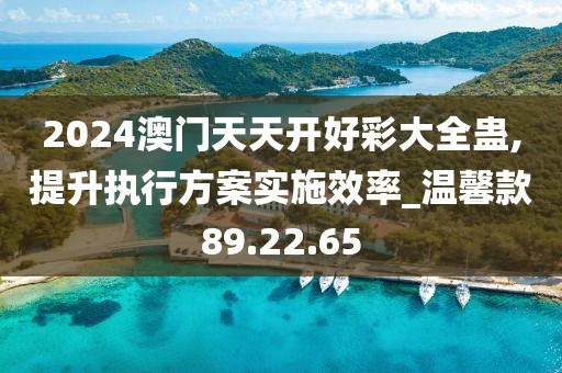 2024澳门天天开好彩大全蛊,提升执行方案实施效率_温馨款89.22.65