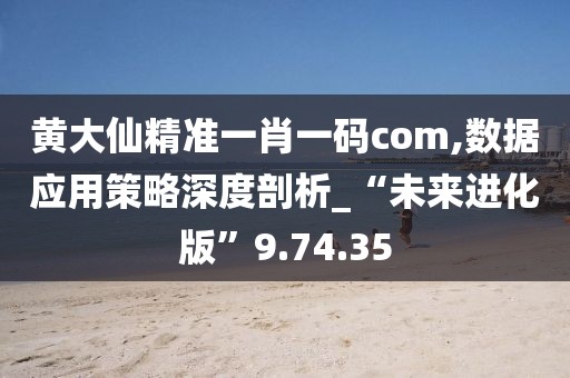 黄大仙精准一肖一码com,数据应用策略深度剖析_“未来进化版”9.74.35