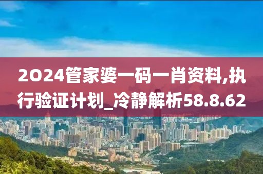 2O24管家婆一码一肖资料,执行验证计划_冷静解析58.8.62