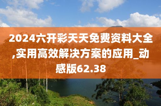 2024六开彩天天免费资料大全,实用高效解决方案的应用_动感版62.38
