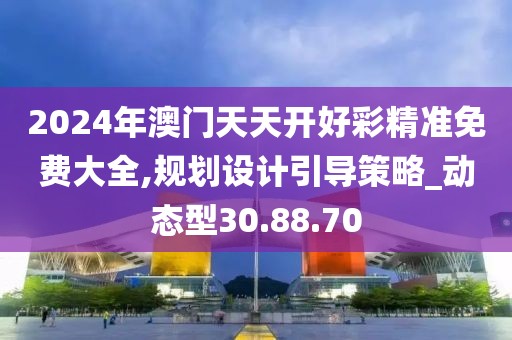 2024年澳门天天开好彩精准免费大全,规划设计引导策略_动态型30.88.70