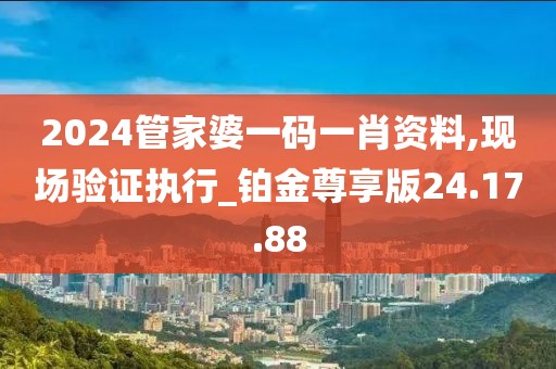 2024管家婆一码一肖资料,现场验证执行_铂金尊享版24.17.88
