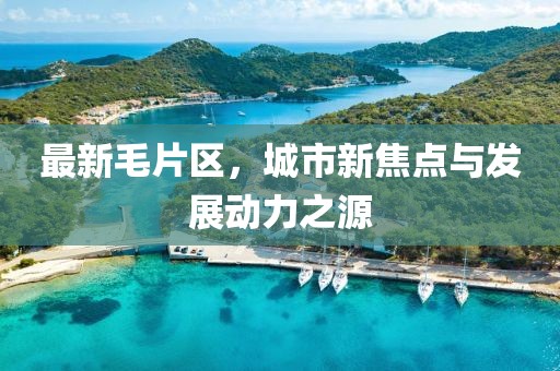 最新毛片区，城市新焦点与发展动力之源