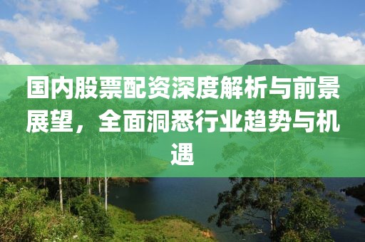 国内股票配资深度解析与前景展望，全面洞悉行业趋势与机遇