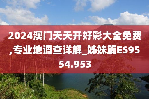 2024澳门天天开好彩大全免费,专业地调查详解_姊妹篇ES9554.953