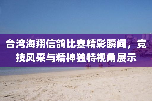 台湾海翔信鸽比赛精彩瞬间，竞技风采与精神独特视角展示