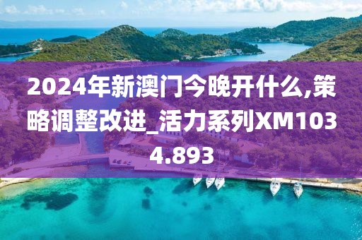 2024年新澳门今晚开什么,策略调整改进_活力系列XM1034.893