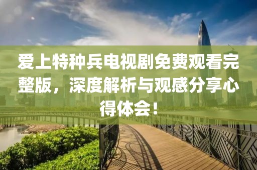 爱上特种兵电视剧免费观看完整版，深度解析与观感分享心得体会！
