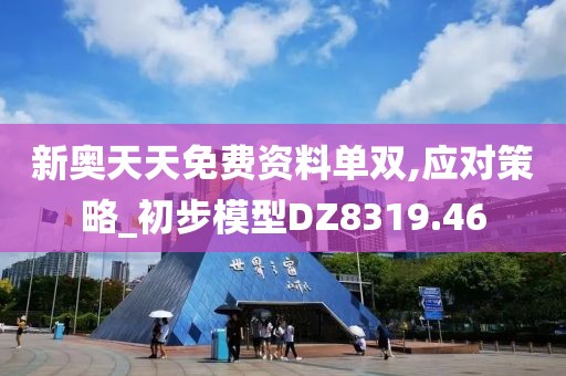 新奥天天免费资料单双,应对策略_初步模型DZ8319.46