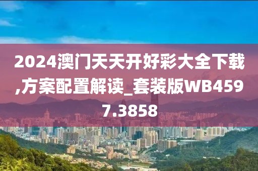 2024澳门天天开好彩大全下载,方案配置解读_套装版WB4597.3858
