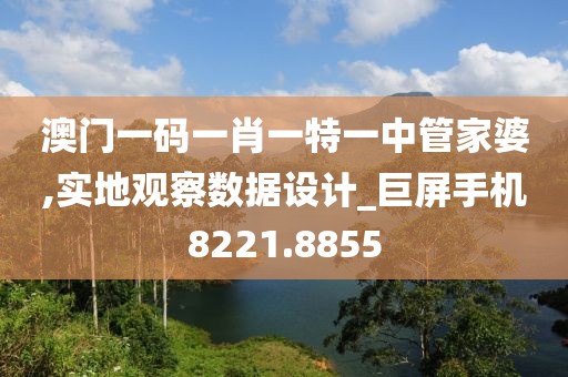 澳门一码一肖一特一中管家婆,实地观察数据设计_巨屏手机8221.8855