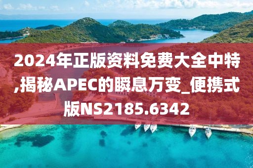 2024年正版资料免费大全中特,揭秘APEC的瞬息万变_便携式版NS2185.6342