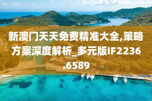 新澳门天天免费精准大全,策略方案深度解析_多元版IF2236.6589