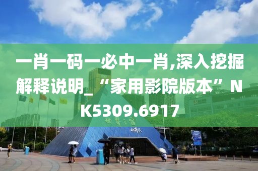 一肖一码一必中一肖,深入挖掘解释说明_“家用影院版本”NK5309.6917