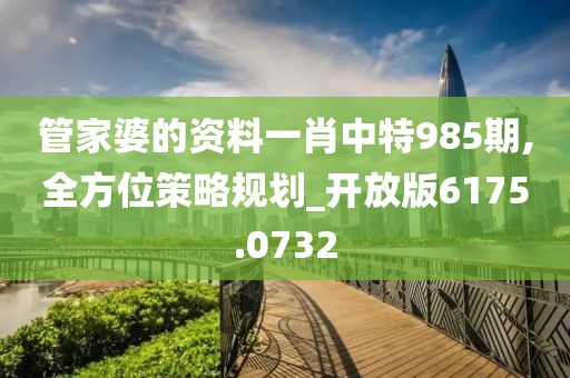 管家婆的资料一肖中特985期,全方位策略规划_开放版6175.0732