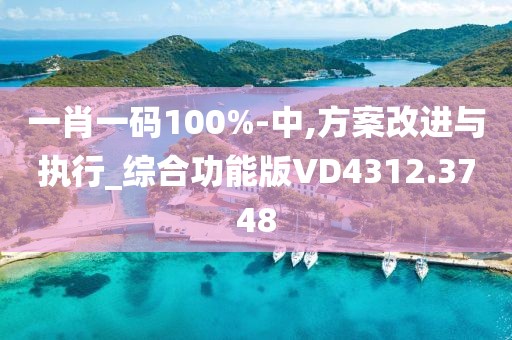 一肖一码100%-中,方案改进与执行_综合功能版VD4312.3748