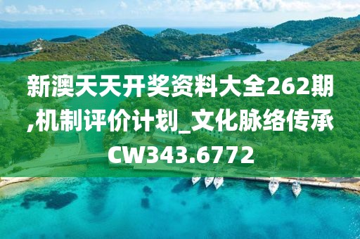 新澳天天开奖资料大全262期,机制评价计划_文化脉络传承CW343.6772