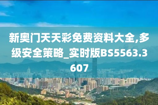 新奥门天天彩免费资料大全,多级安全策略_实时版BS5563.3607