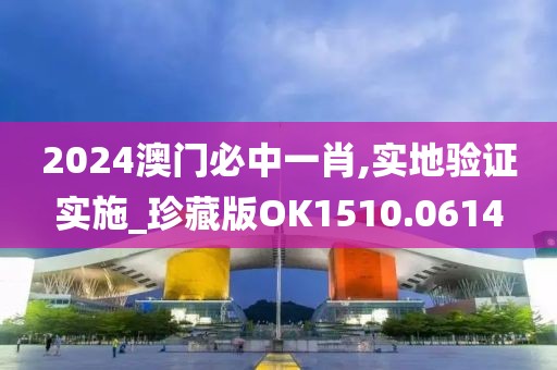 2024澳门必中一肖,实地验证实施_珍藏版OK1510.0614