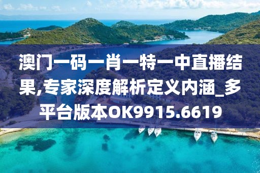 澳门一码一肖一特一中直播结果,专家深度解析定义内涵_多平台版本OK9915.6619