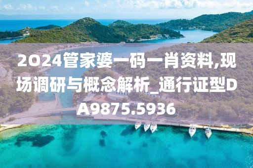 2O24管家婆一码一肖资料,现场调研与概念解析_通行证型DA9875.5936