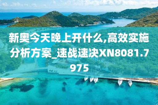 新奥今天晚上开什么,高效实施分析方案_速战速决XN8081.7975