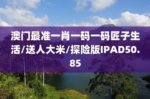 澳门最准一肖一码一码匠子生活/送人大米/探险版IPAD50.85